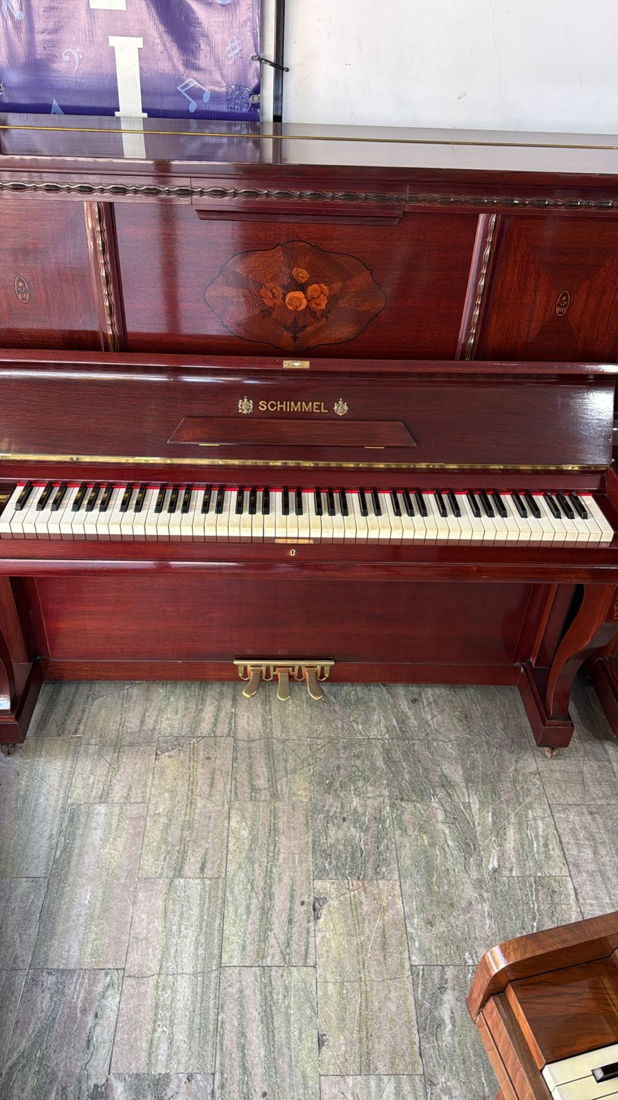 Schimmel