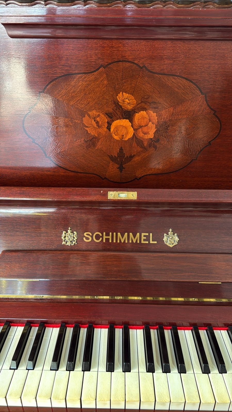 Schimmel