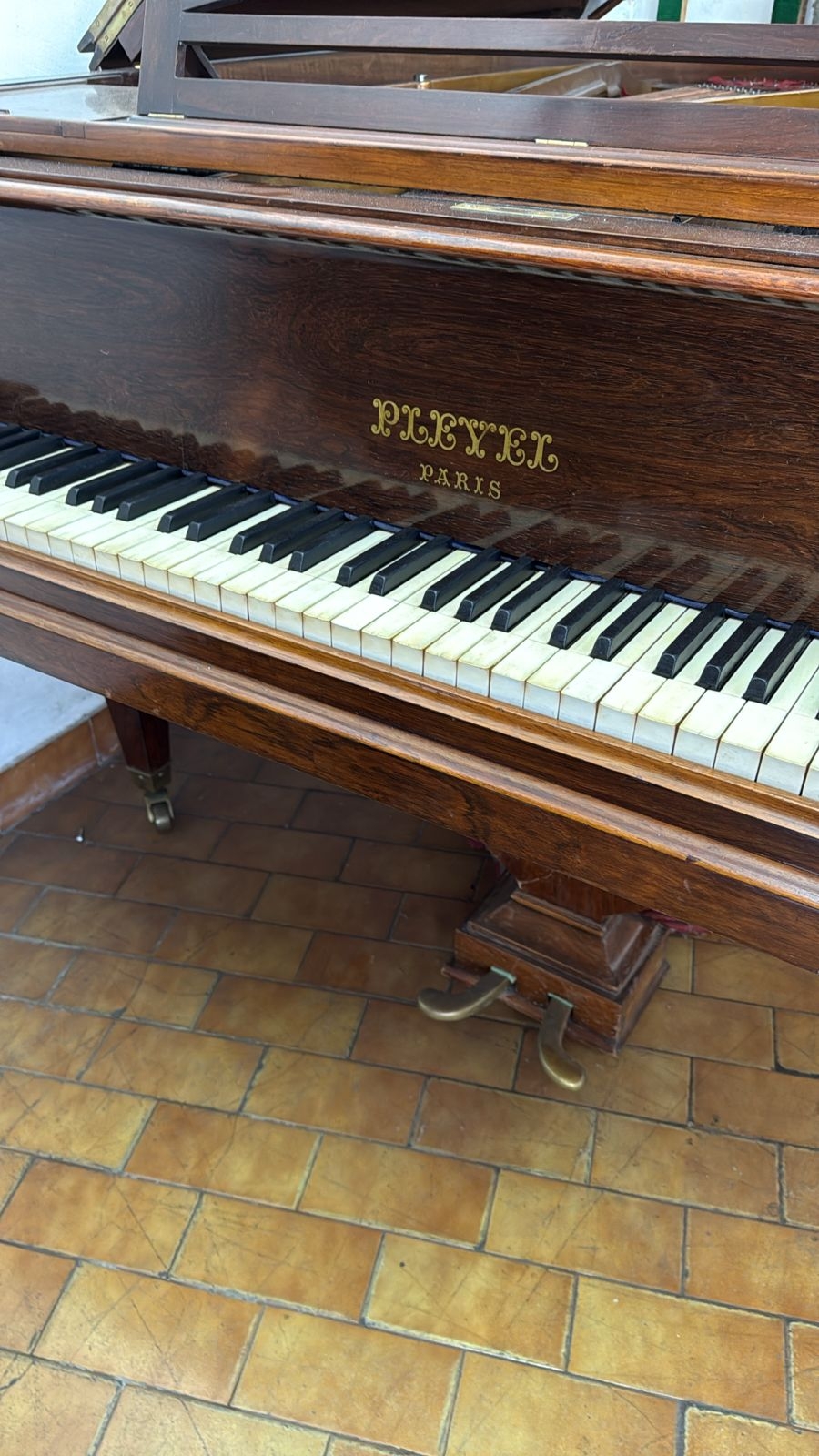 Pleyel